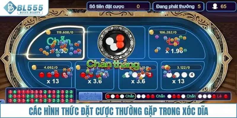 Các hình thức đặt cược thường gặp trong xóc dĩa