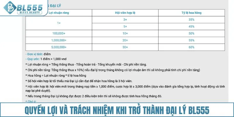 Quyền lợi và trách nhiệm khi trở thành đại lý BL555